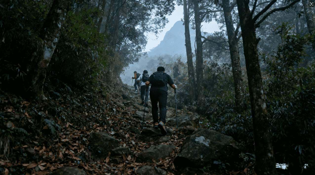 快喵加速器支持的主要流行应用程序全面解析